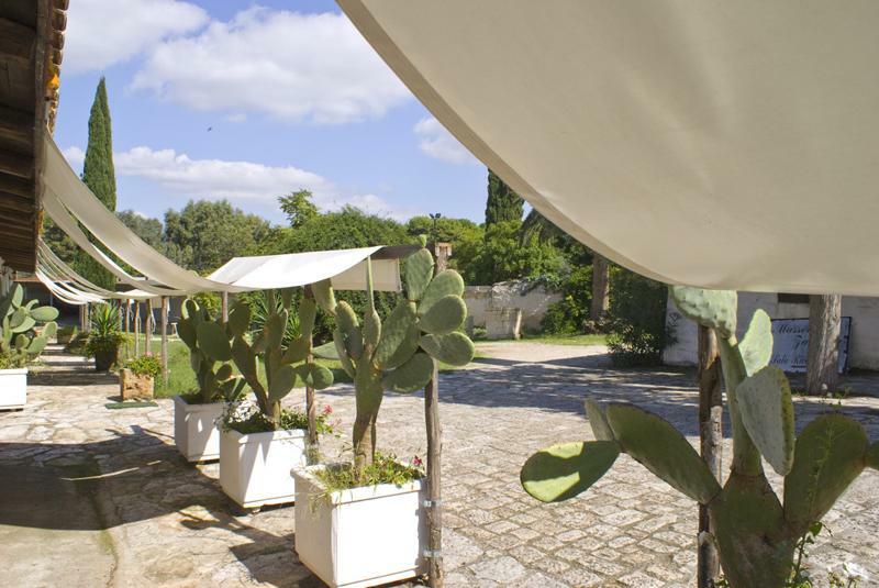 Masseria Zanzara Bed and Breakfast Porto Cesareo Εξωτερικό φωτογραφία